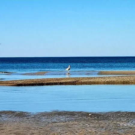 Słoneczna Z Zielonym Tarasem *