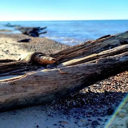 Słoneczna Z Zielonym Tarasem Apartament *