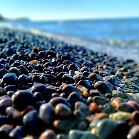 Sloneczna Z Zielonym Tarasem דירה