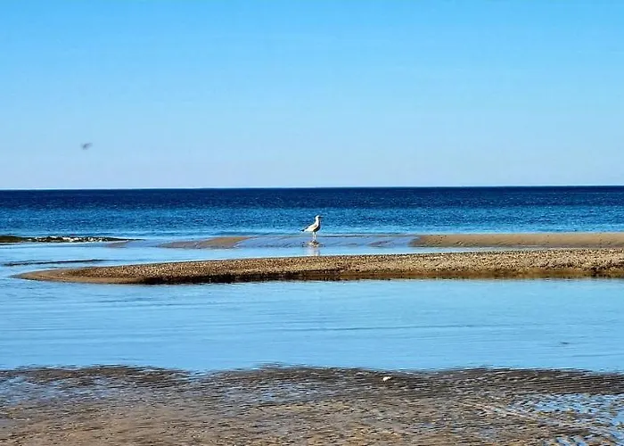 Sloneczna Z Zielonym Tarasem *
