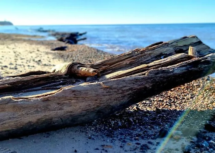 Sloneczna Z Zielonym Tarasem Apartamento *